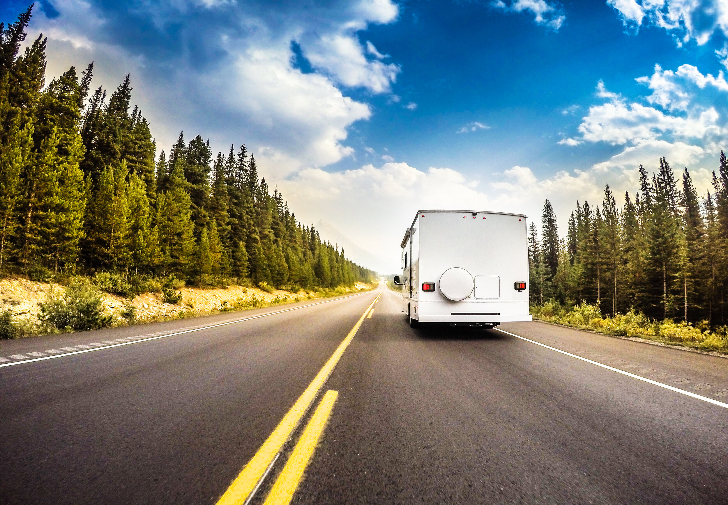 RV on the road between forest